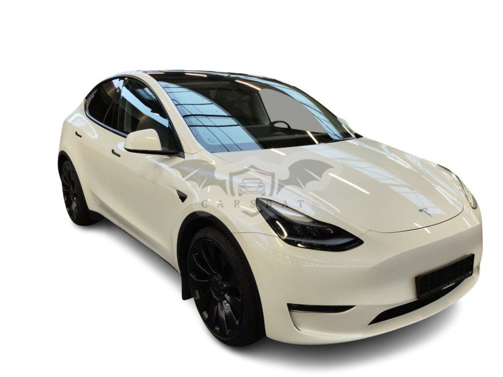 Tesla Model Y Performance 2022