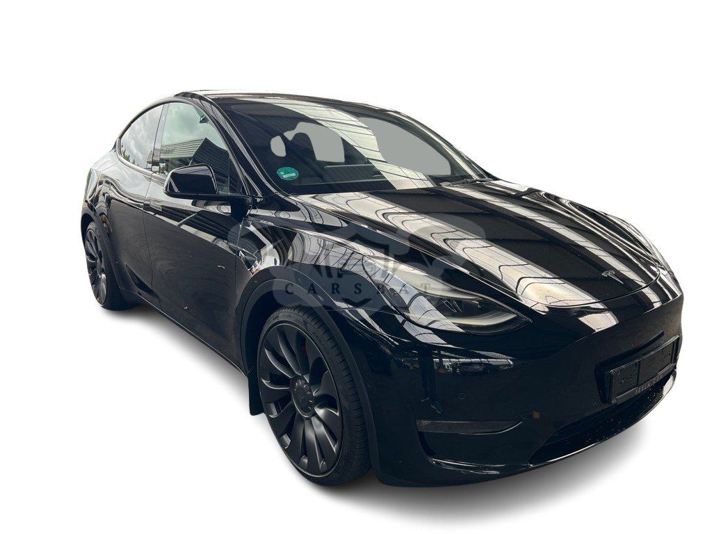 Tesla Model Y Performance 2022