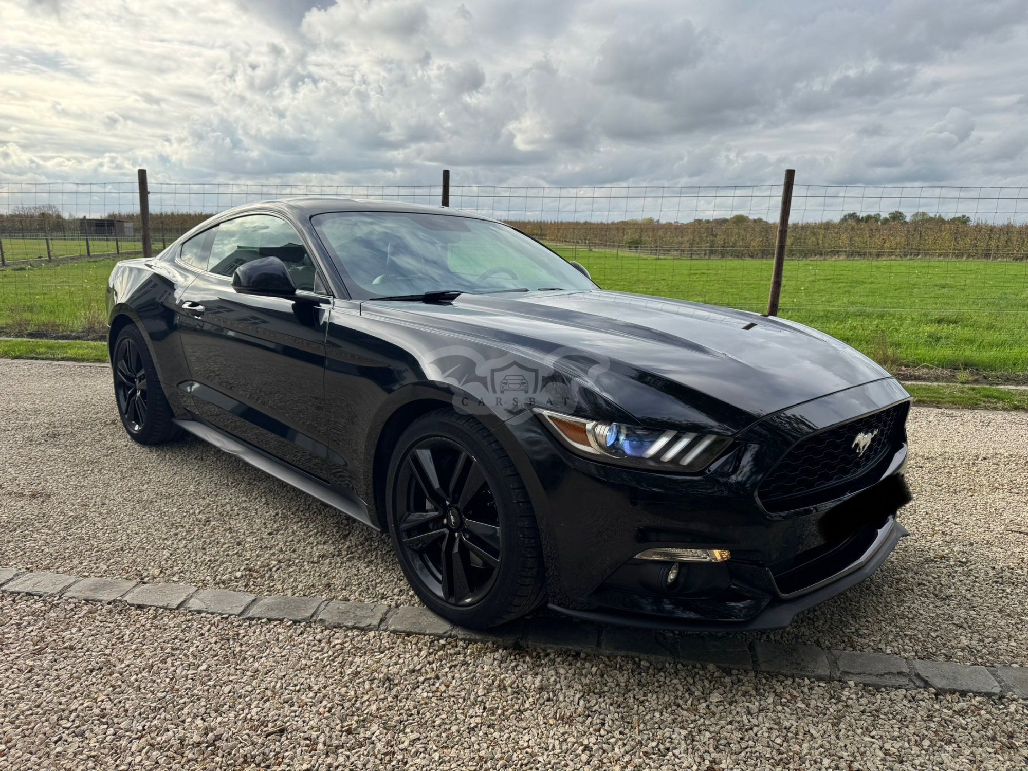 Ford Mustang 2.3 EcoBoost 2017