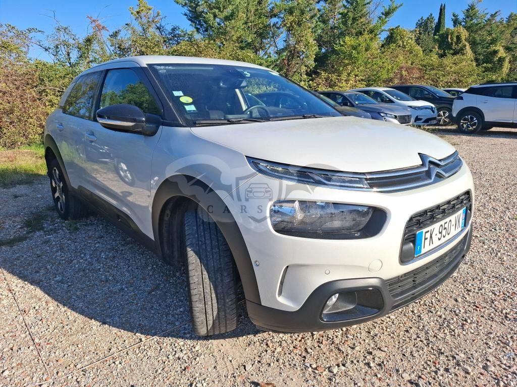 Citroën C4 Cactus 1.5 HDI Shine Business 2019
