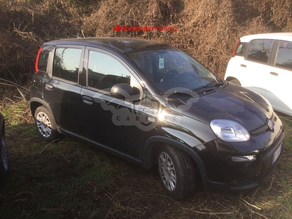 Fiat Panda 1.0 2024