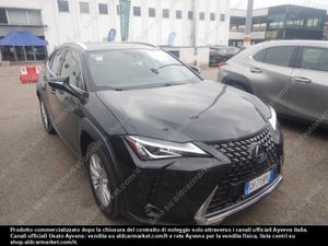 Lexus UX Business 2021