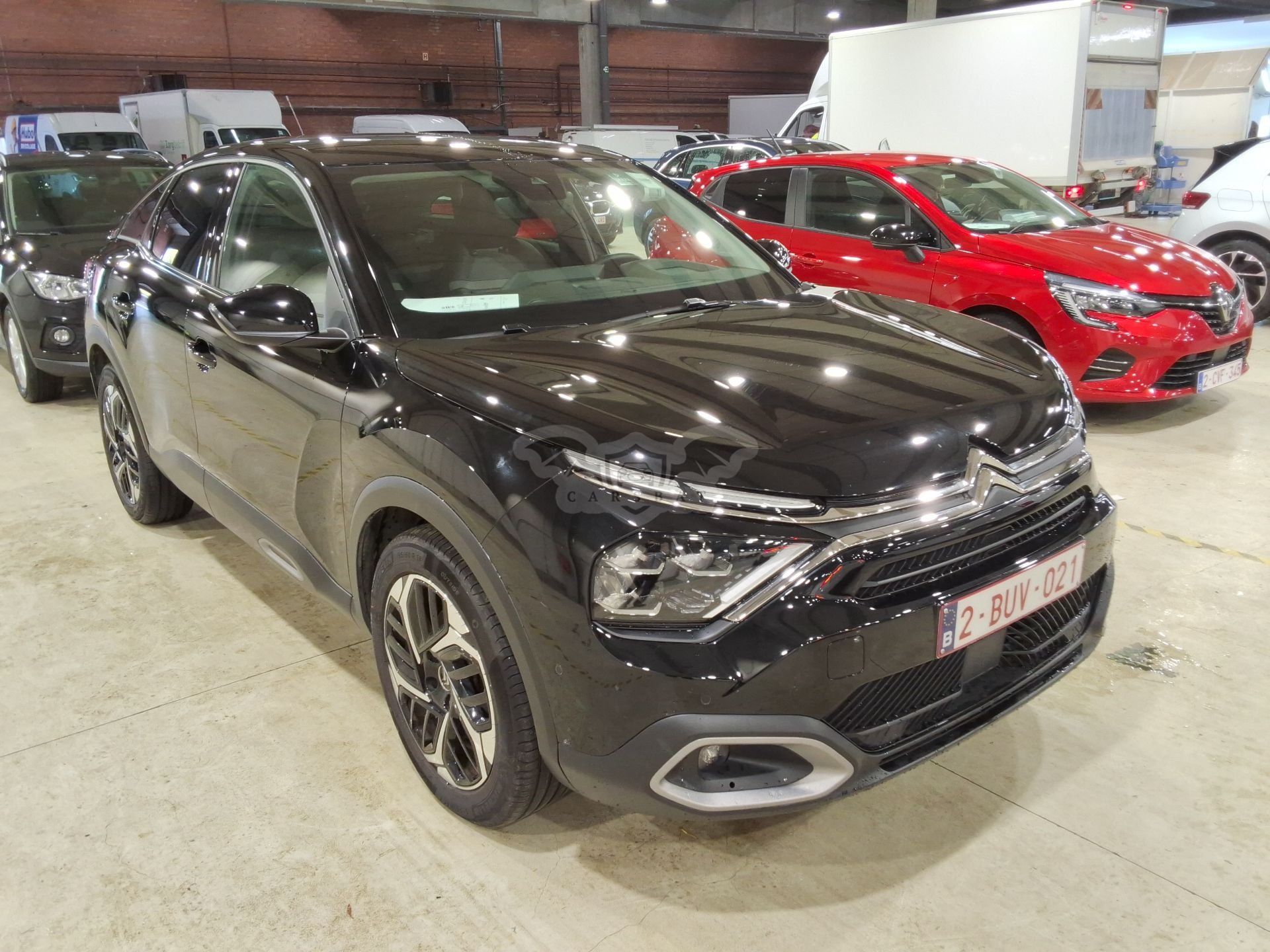 Citroën C4 1.5 HDI Shine 2022