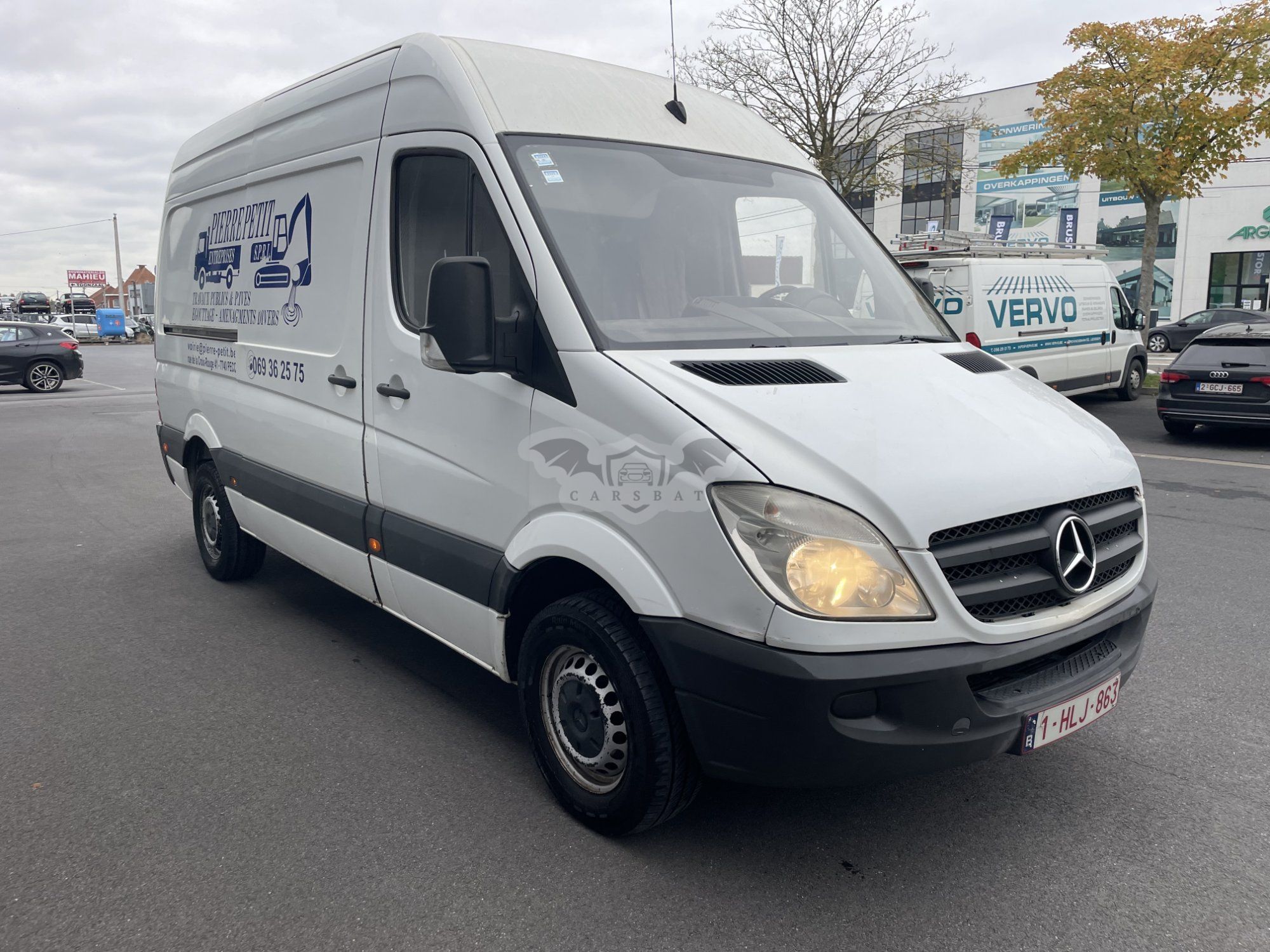 Mercedes-Benz Sprinter 313 CDI Worker 2011