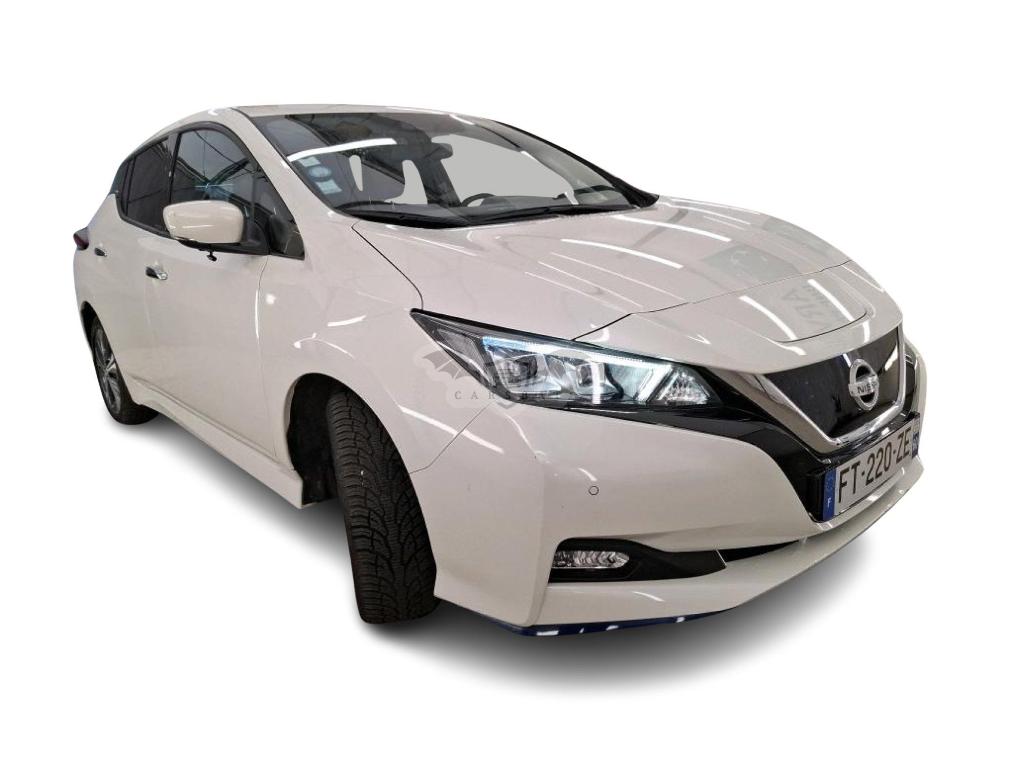 Nissan Leaf Business 2020