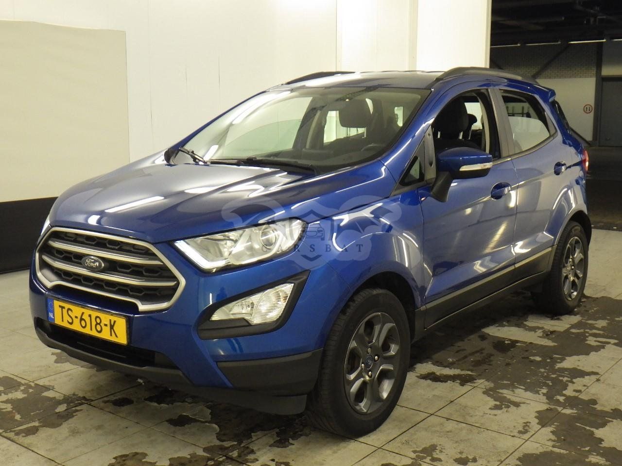 Ford Ecosport 1.0 EcoBoost Trend 2018