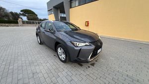 Lexus UX 250h Business 2022