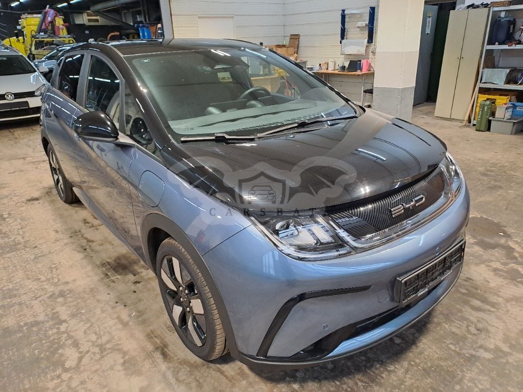 BYD Dolphin 60 kWh 2024