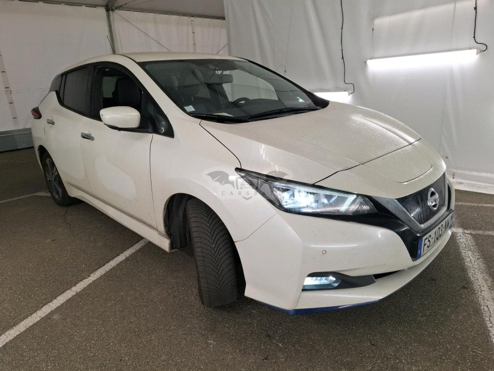 Nissan Leaf Business 2020