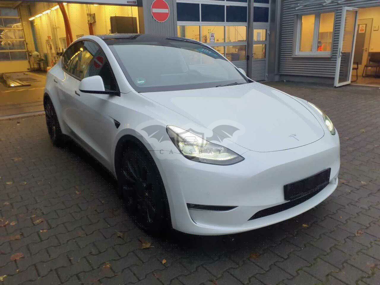 Tesla Model Y Performance 2022