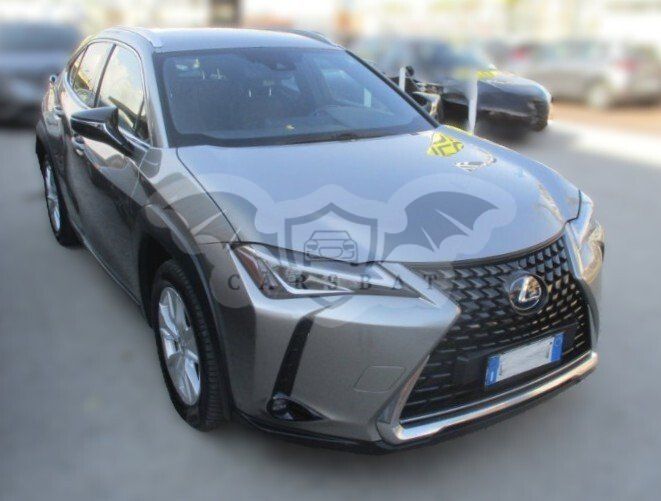 Lexus UX 250h Business 2021
