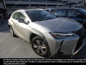 Lexus UX Business 2020