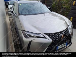Lexus UX Business 2022