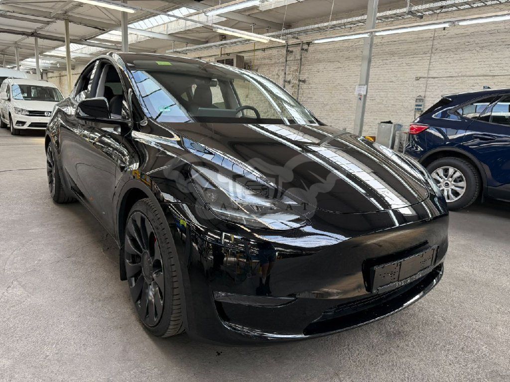Tesla Model Y Performance 2022