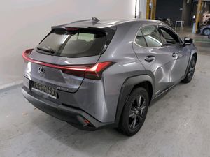 Lexus UX 250h Business 2021