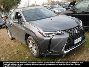 Lexus UX Business 2021