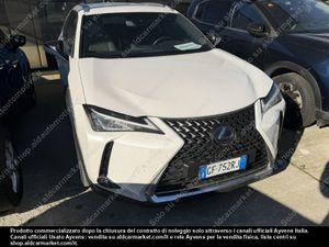 Lexus UX Business 2021