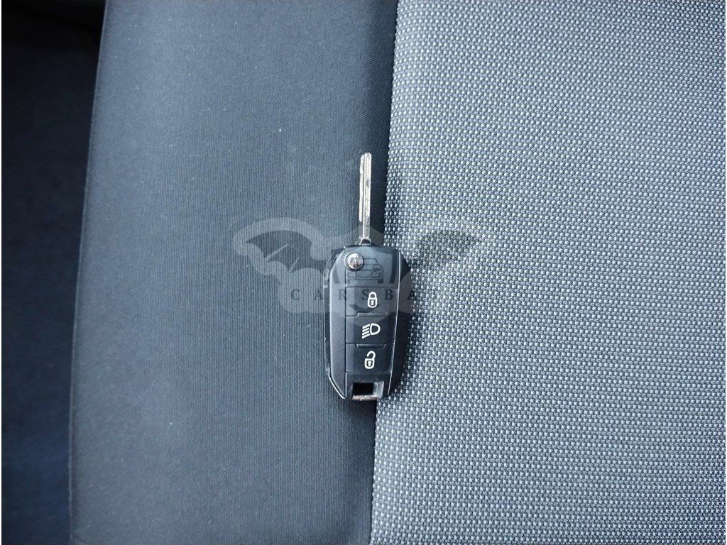 Peugeot Traveller Business 2020
