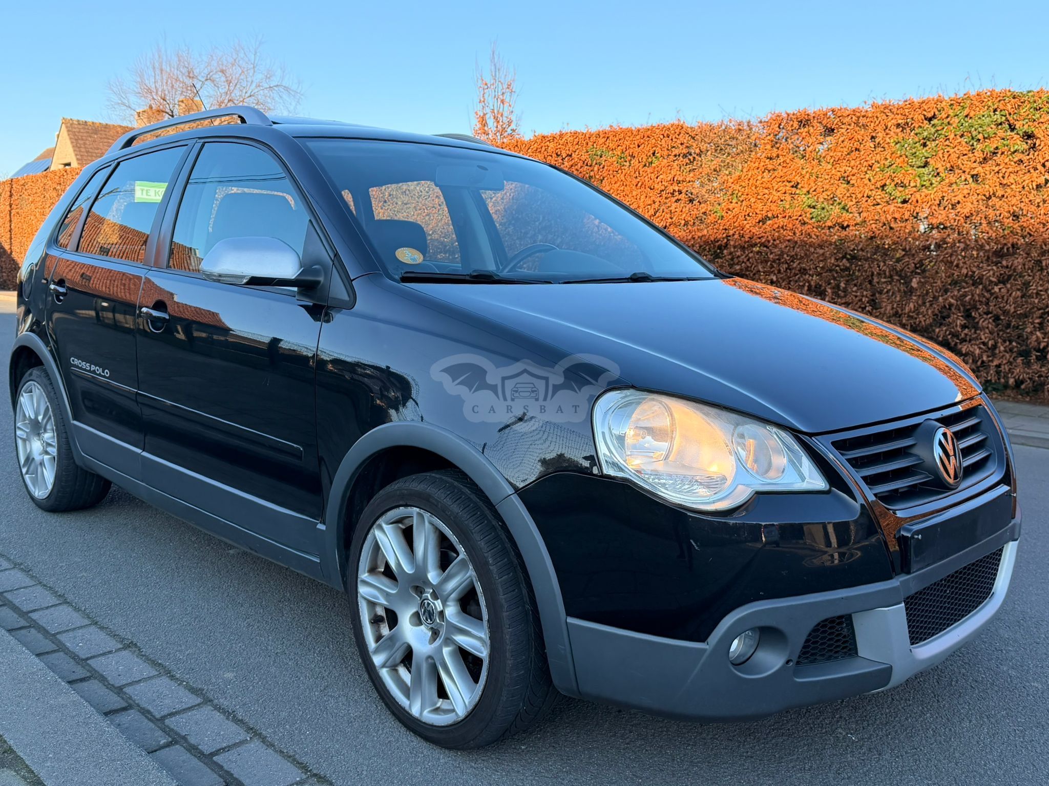 Volkswagen Polo CrossPolo 1.4 TDI 2007