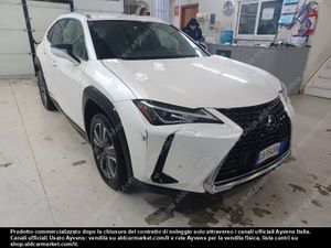 Lexus UX 300e 2021