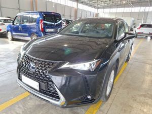 Lexus UX Business 2021