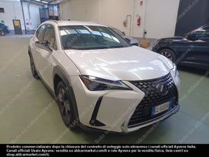 Lexus UX Business 2022