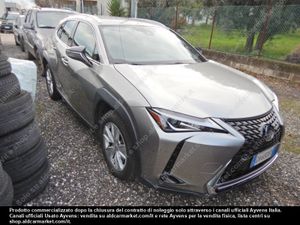 Lexus UX Business 2021