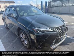 Lexus UX Business 2021