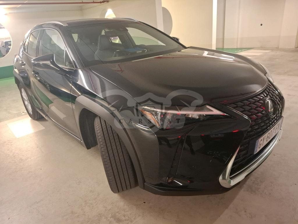 Lexus UX 250h Business 2024