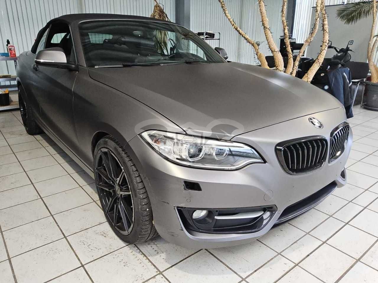 BMW 2 Series Sport 2016