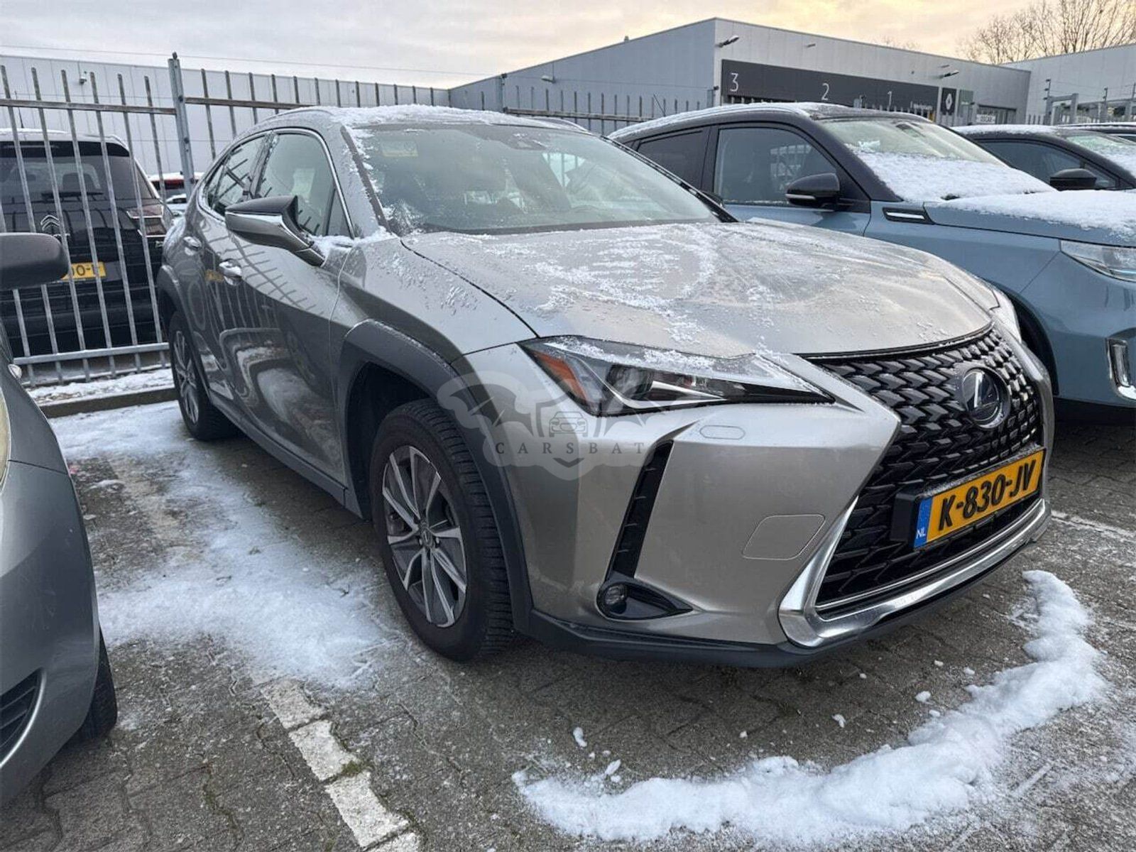 Lexus UX 300e Business 2020