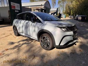 BYD Dolphin Comfort 2024