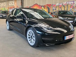 Tesla Model 3 Business 2021