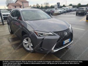 Lexus UX Business 2021
