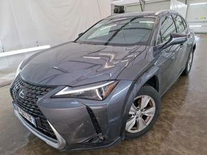 Lexus UX 250h Business 2022