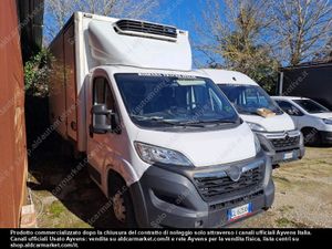 Opel Movano Edition 2022