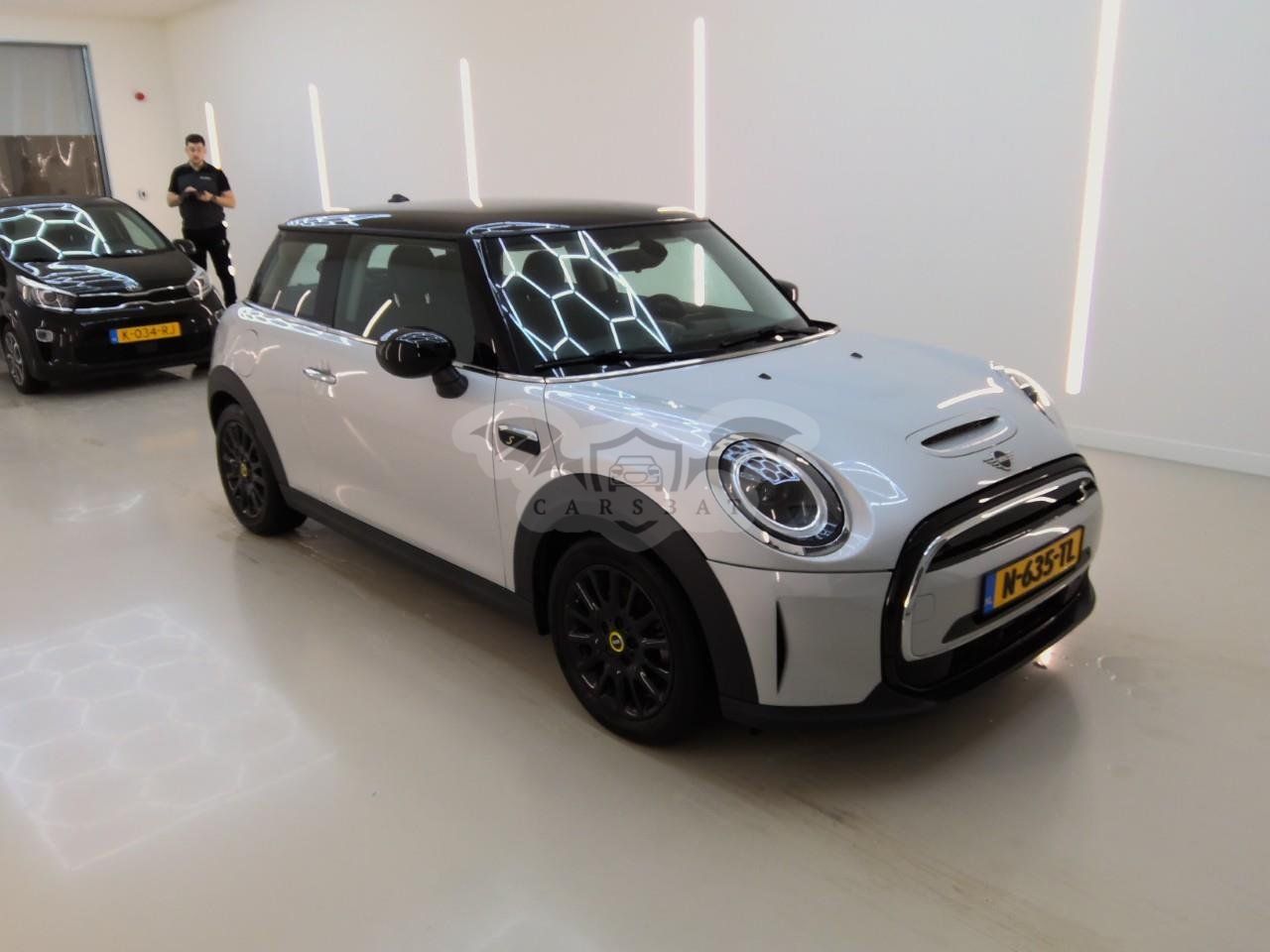 Mini Electric 2021