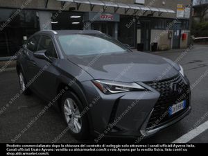 Lexus UX Business 2021