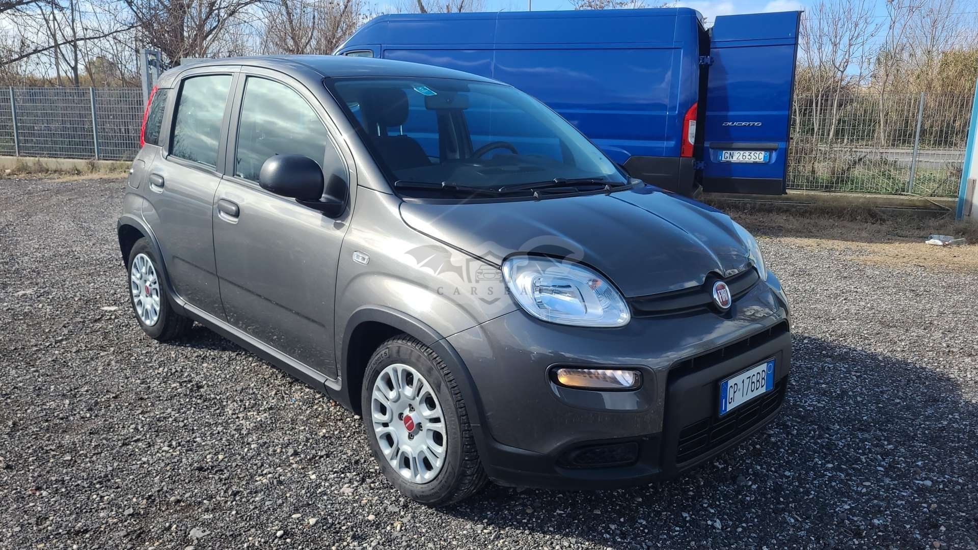 Fiat Panda 1.0 2023
