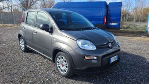 Fiat Panda 1.0 2023