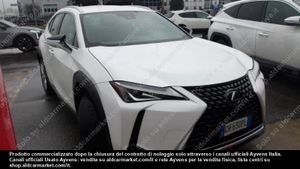 Lexus UX Business 2021