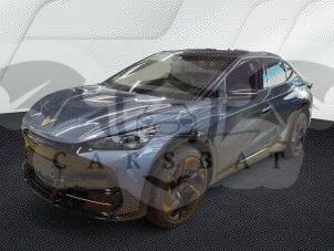 Cupra Tavascan Endurance 2025