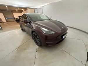 Tesla Model Y Performance 2024