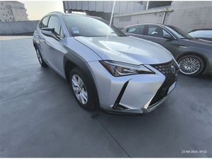 Lexus UX Business 2021