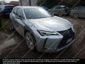 Lexus UX Business 2020