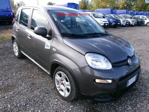 Fiat Panda 1.0 2023