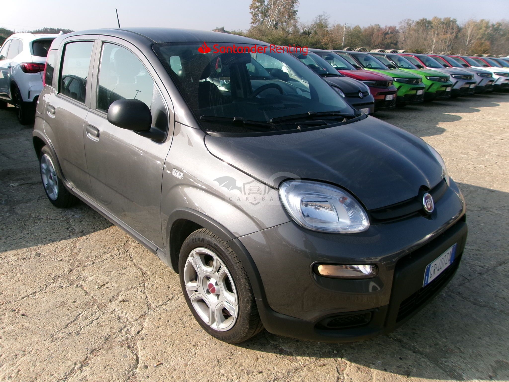 Fiat Panda 1.0 2023