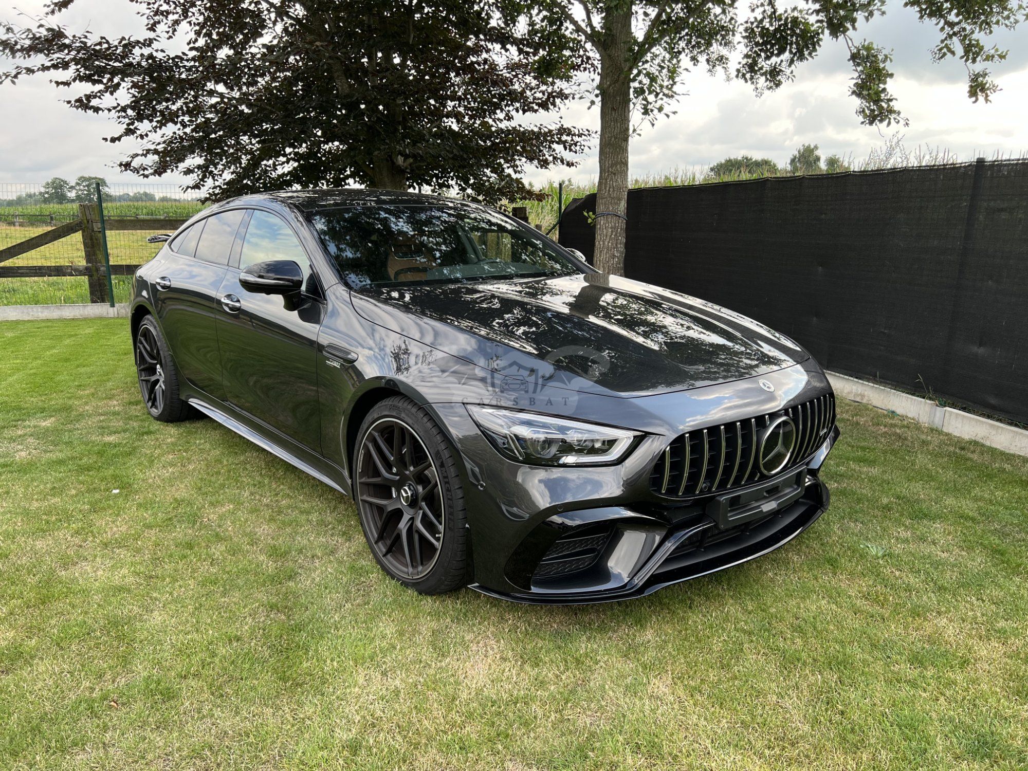 Mercedes-Benz AMG GT 53 GT 2021
