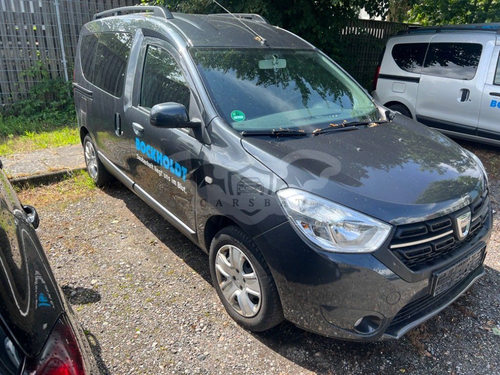 Dacia Dokker Laureate 2017
