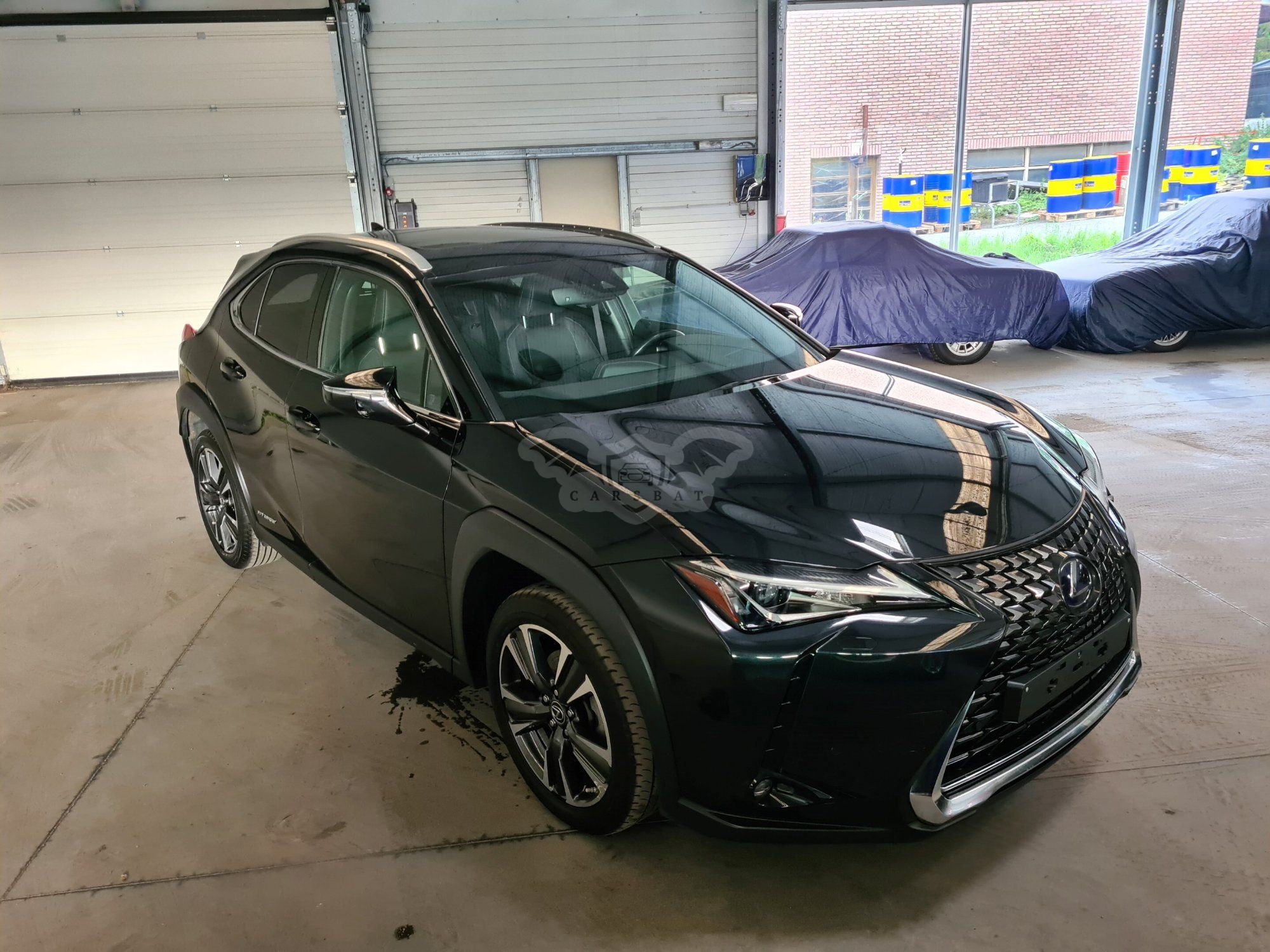 Lexus UX 250h Business 2019